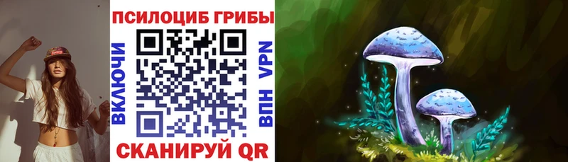 Купить закладки  Себеж  Галлюциногенные грибы мицелий 